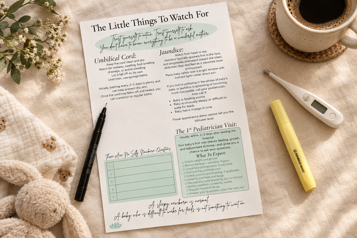 The Little Things To Watch For - umbilical cord and jaundice insert page