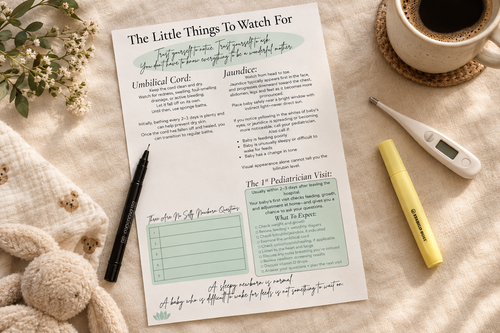 The Little Things To Watch For - umbilical cord and jaundice insert page